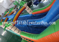 Glissière d'eau gonflable de PVC de bâche de jungle commerciale de vert avec la petite piscine