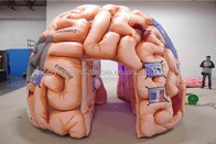 Expositions gonflables de conférences de Brain Model Tent Inflatable Medical - cerveau méga