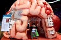 Expositions gonflables de conférences de Brain Model Tent Inflatable Medical - cerveau méga