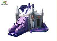 Château sautant gonflable adapté aux besoins du client de dragon pourpre avec la glissière pour des enfants