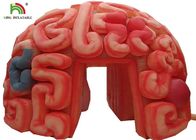 Organes artificiels de reproduction gonflable de cerveau du géant 4m pour GV éducatif EN71