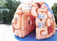 Organes artificiels de reproduction gonflable de cerveau du géant 4m pour GV éducatif EN71