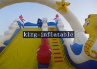 Le thème d'animaux de mer gonflable sèchent l'amusement gonflable de bâche de PVC d'OEM de glissières pour des enfants