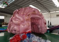 Modèle gonflable adapté aux besoins du client de cerveau de simulation de tente d'événement de taille pour l'exposition médicale