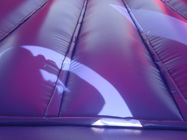 Spiderman commercial impressionnant sautant la bâche de PVC du château 0.55mm