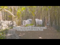 Tente d'hôtel gonflable à bulles