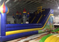 Terrain de jeu gonflable bleu, ballons gonflables de la publicité de bâche de PVC