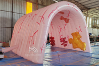 Modèle médical de tube de deux points d'organe humain de la publicité de thème d'événement de poumons gonflables géants faits sur commande grand