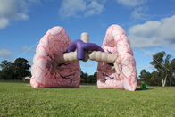 Événements gonflables géants d'exposition de Lung Model Advertising For Medical