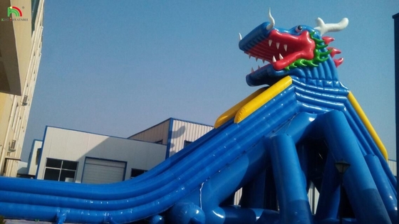Des toboggans de parc aquatique drôles Jeux d'eau Nouveau design Équipement de jeu aquatique Long toboggan gonflable