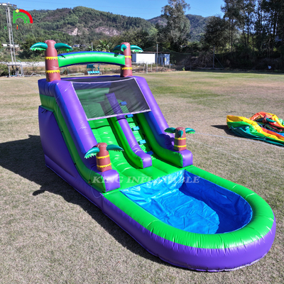 Commercial PVC gonflable toboggan d'eau de jardin extérieur enfants toboggan d'eau avec plus grande piscine et souffleur d'eau 1100W