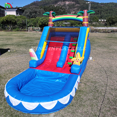 Glissière d'eau en PVC commercial Glissière gonflable pour enfant Glissière gonflable avec piscine Glissière sèche humide adulte