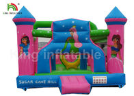 Princesse durable Inflatable Commercial Bounce Houses de rose de PVC pour des enfants Activites extérieur