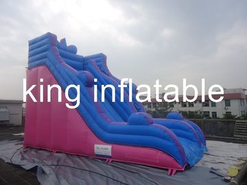 Gonflables durables extérieurs sèchent la glissière avec simple mais général pour le parc d'attractions