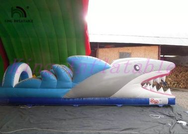 Glissière d'eau gonflable de PVC de requin, mini glissière excitante étonnante faite sur commande de ville