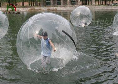 Promenade gonflable d'amusement de famille sur l'auto-support de boule de l'eau aucune couleur