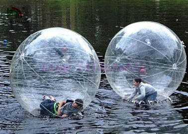 Promenade gonflable d'amusement de famille sur l'auto-support de boule de l'eau aucune couleur