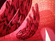 Modèle thoracique de simulation en nylon de tissu de la publicité pour l'UL médicale de la CE de l'exposition ROHS