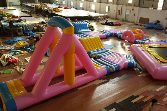 Parc aquatique gonflable d'amusement de rose avec le tirage en couleurs