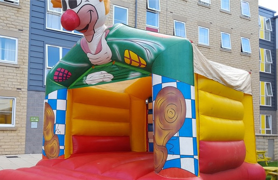 Château de Themed Inflatable Bouncer de clown de bande dessinée pour des adultes